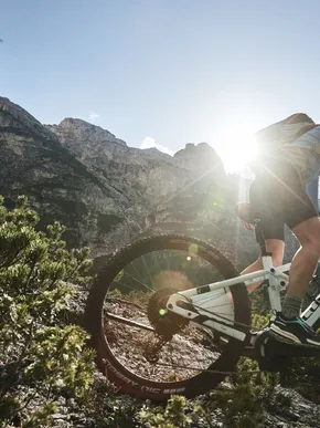 AMA Stay Sommer 308 1